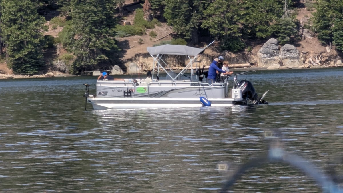Shaver Lake Trout